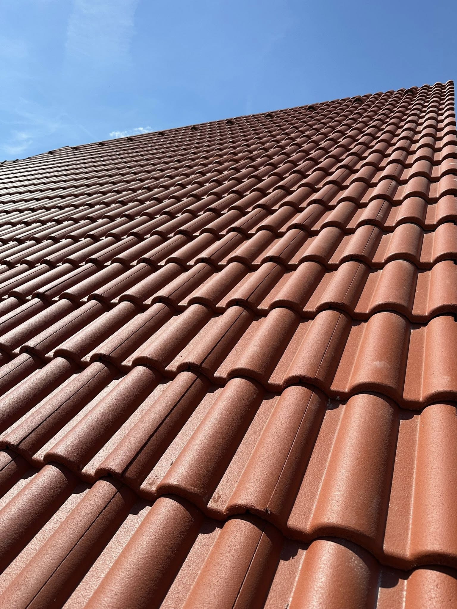 498161497_122155103246447454_6833614662866520882_n